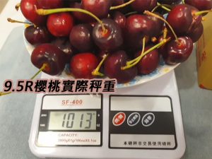 9.5R櫻桃重量